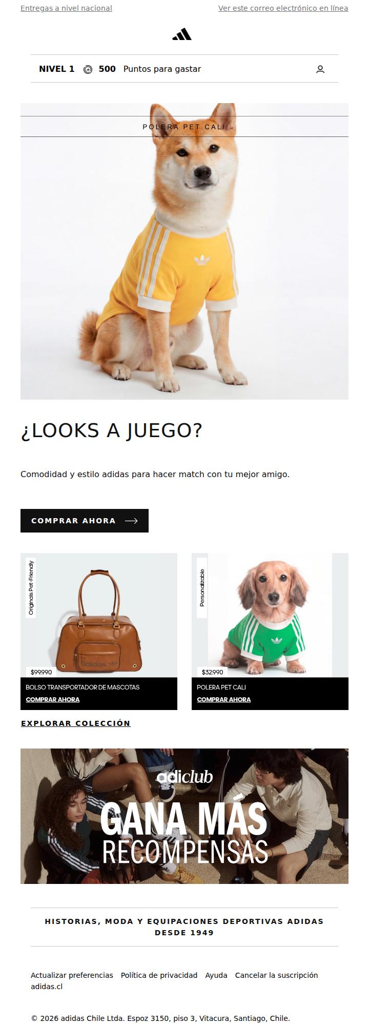 4 patas, 3 tiras, una colección🐾