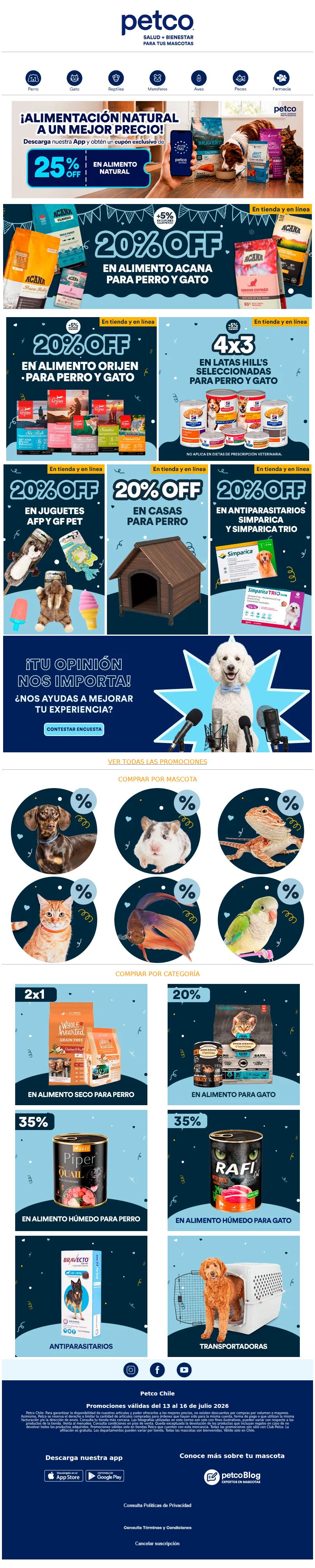Antiparasitarios, juguetes, casas y más 🐶🐱